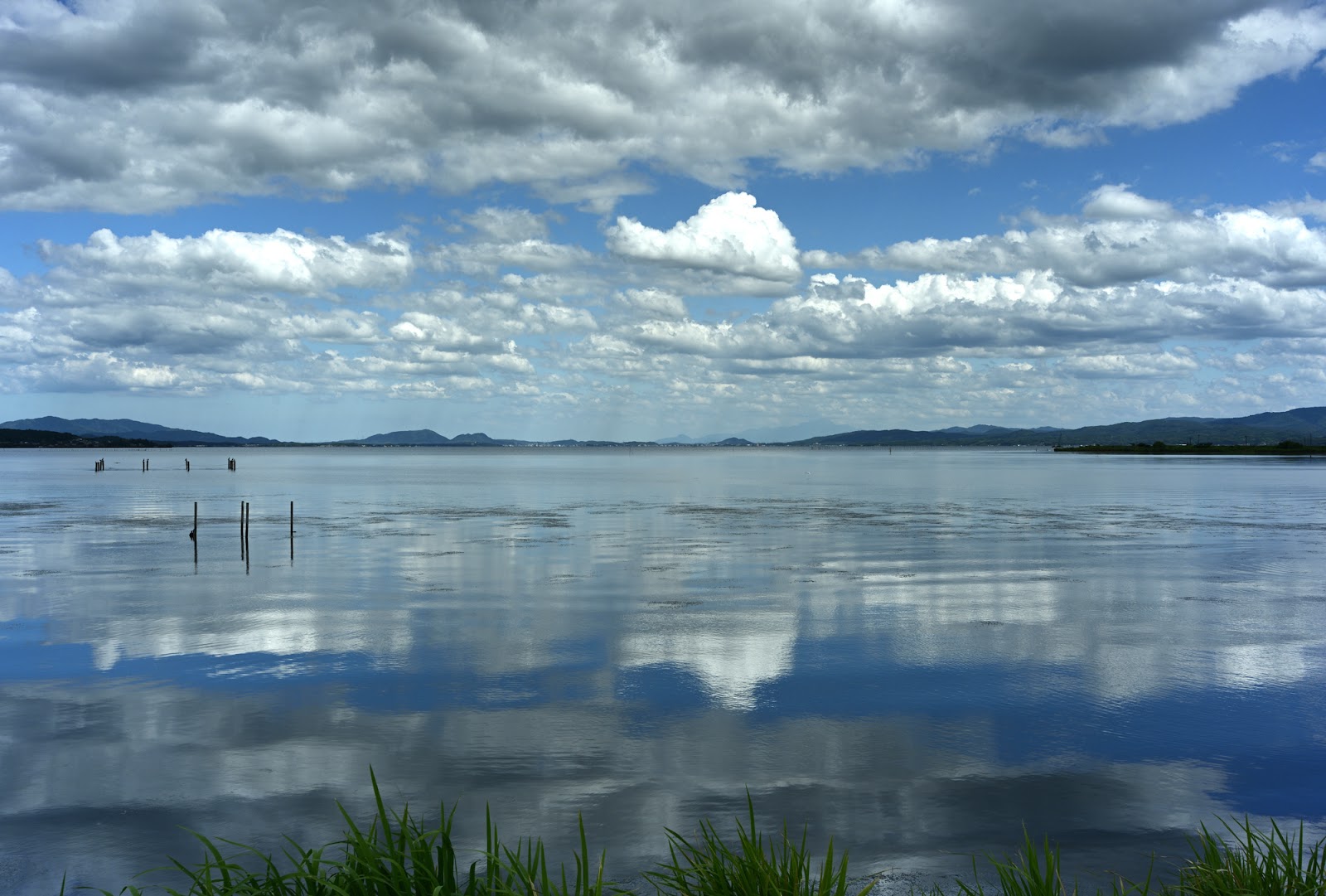 水質改善をする究極の生物「しじみ」。その秘密を宍道湖を例にして解説します