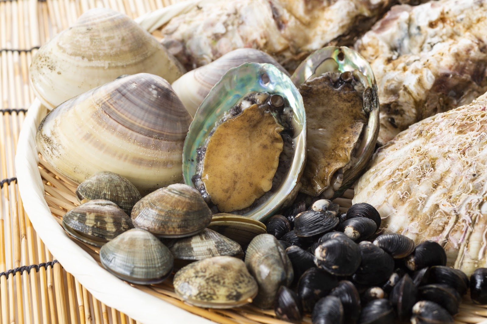 貝の栄養素比較！スーパーで買える貝を徹底調査(しじみ・あさり・ホタテ・サザエ・カキ)